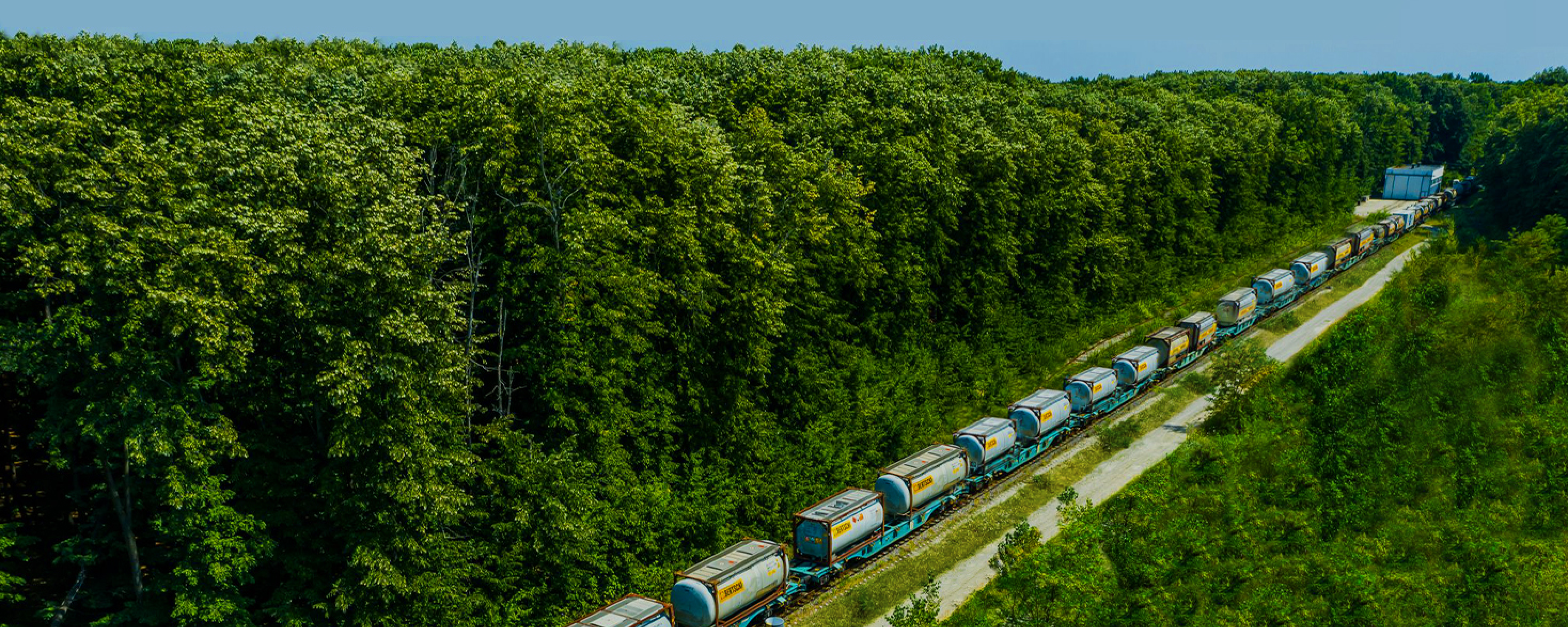Cargo train filled with Bertschi containers passing through a green forest area