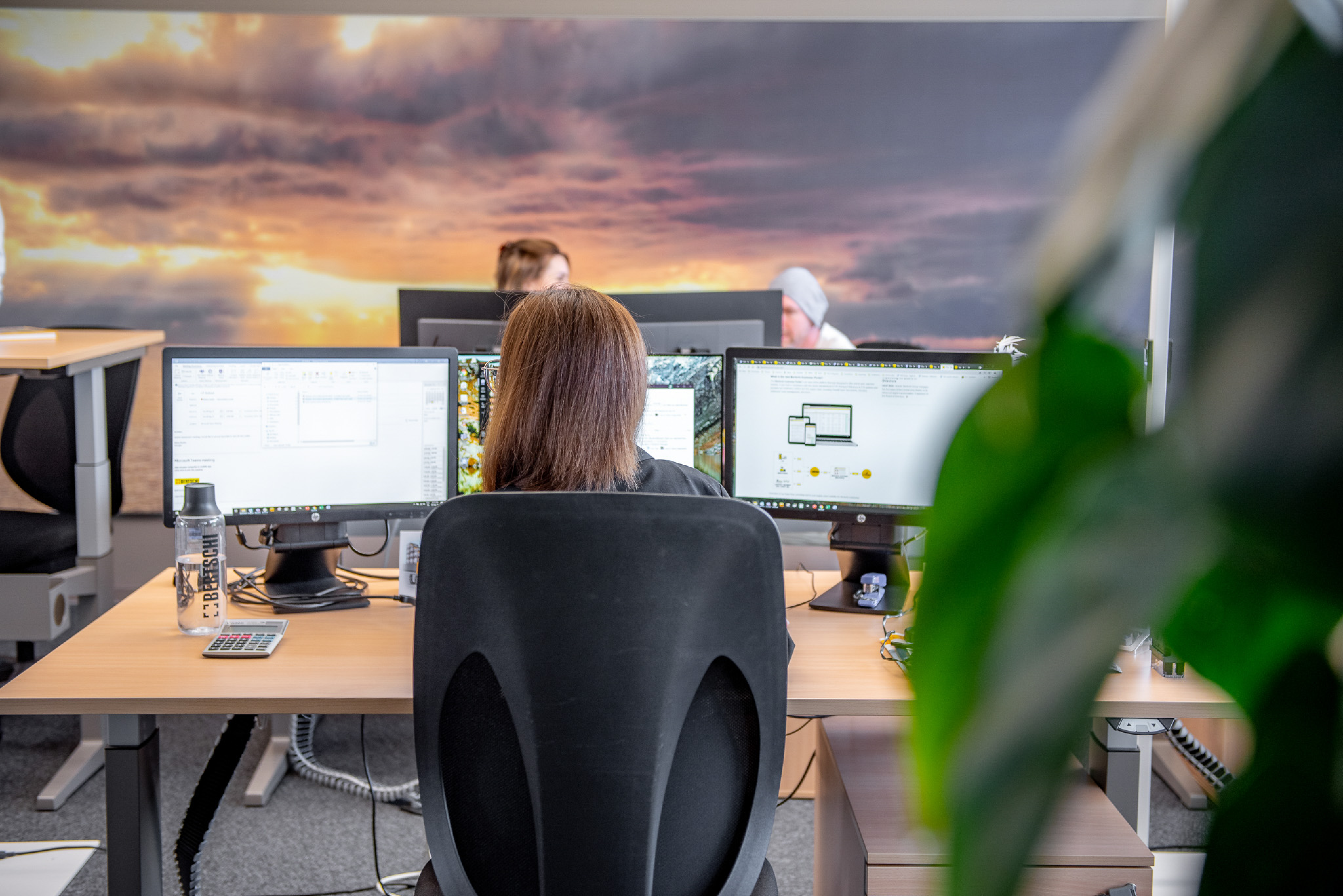 Employees working on their desk with a plant in the foreground
