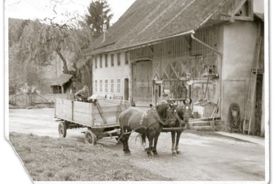  Albert Bertschi's haulage company (Furhalterei)