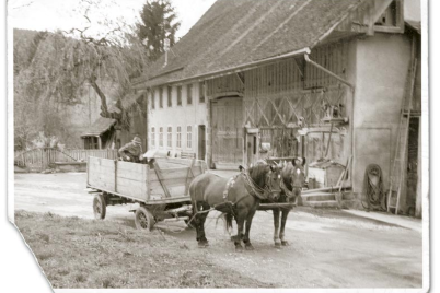  Albert Bertschis Fuhrunternehmen (Furhalterei)