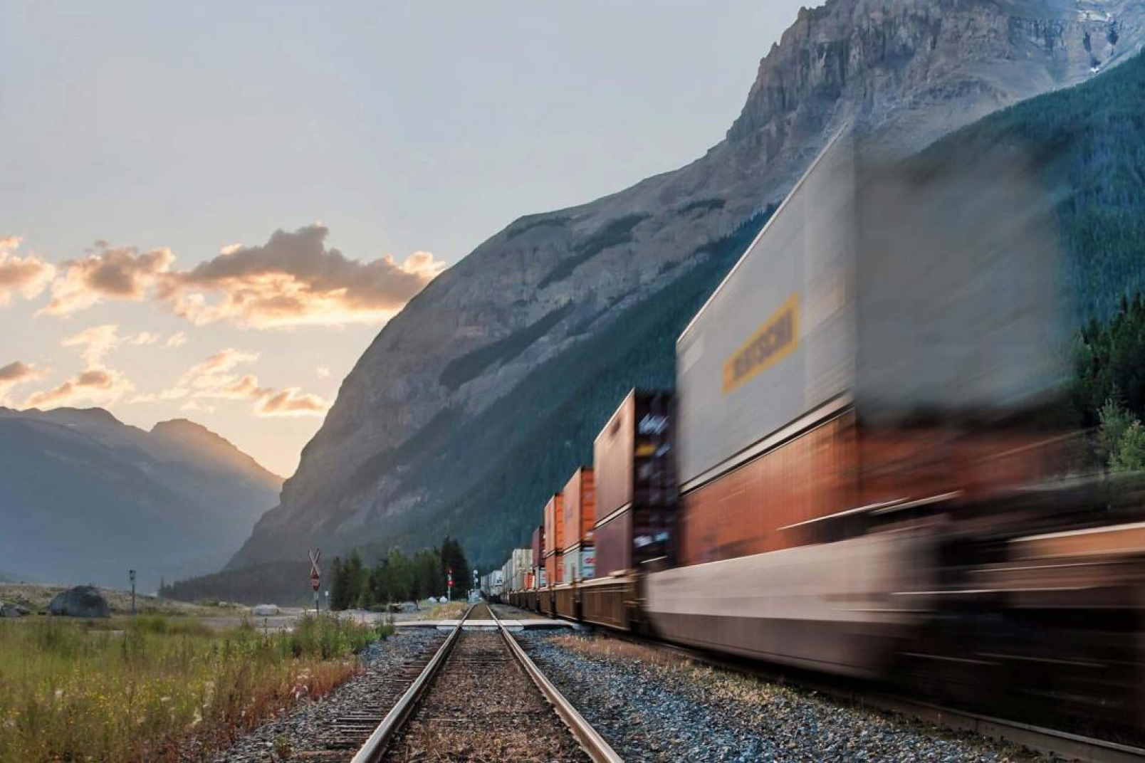 Train